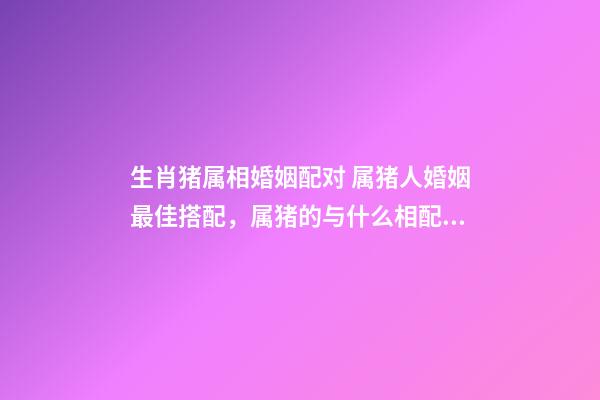生肖猪属相婚姻配对 属猪人婚姻最佳搭配，属猪的与什么相配最好-第1张-观点-玄机派